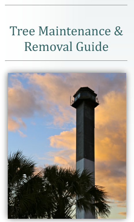 Tree Maintenance & Removal Guide