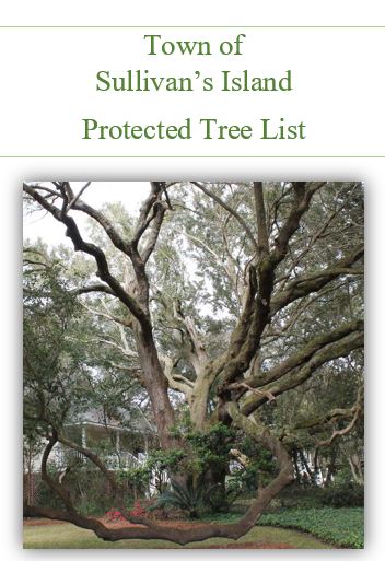 Tree Preservation Picture