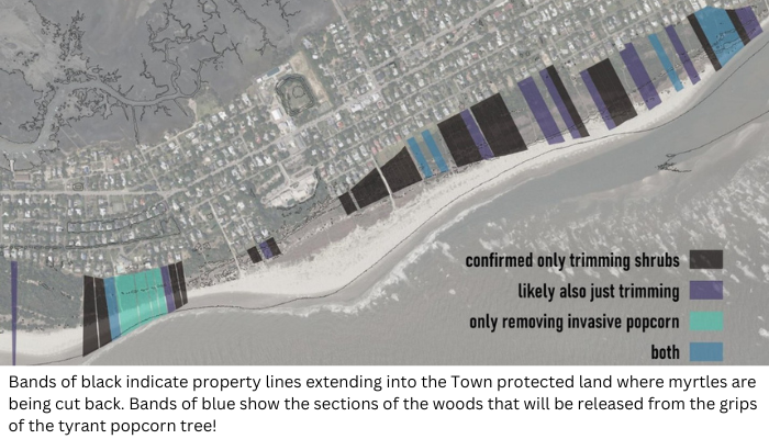 SI Trimming Map