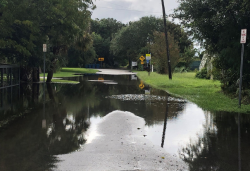 Flooding on Sullivan's Island