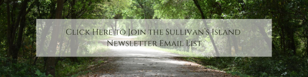 Newsletter Sign Up