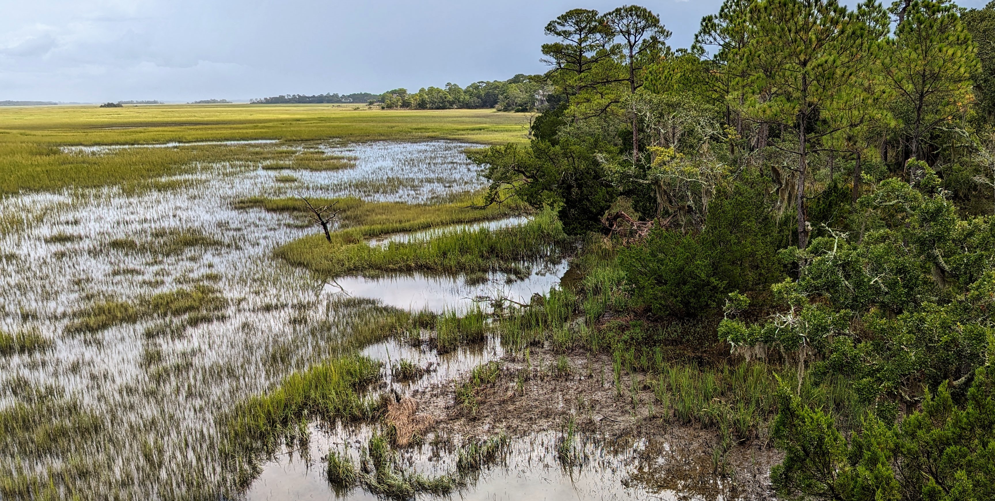 The Saltmarsh at High Tide